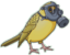 PPE Canary